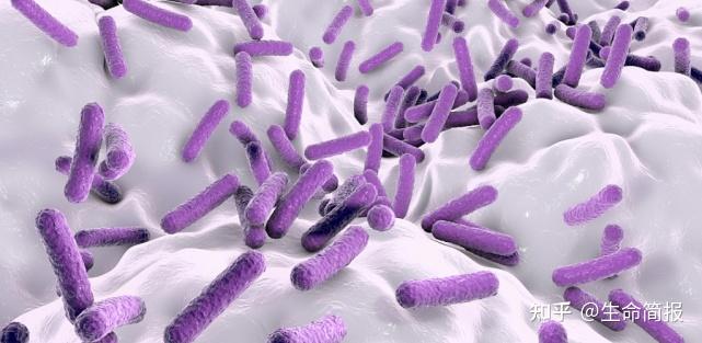 肠胃不好补硒管用吗（肠胃不好吃硒管用吗）-硒宝网