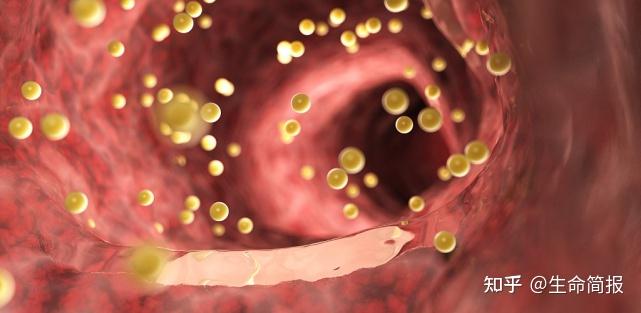 肠胃不好补硒管用吗（肠胃不好吃硒管用吗）-硒宝网