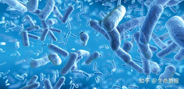 肠胃不好补硒管用吗（肠胃不好吃硒管用吗）-硒宝网