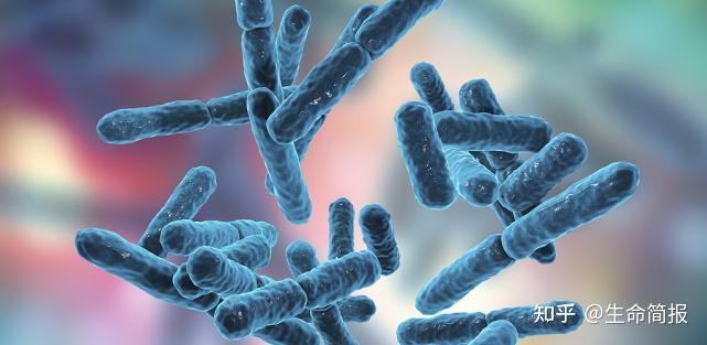 肠胃不好补硒管用吗（肠胃不好吃硒管用吗）-硒宝网