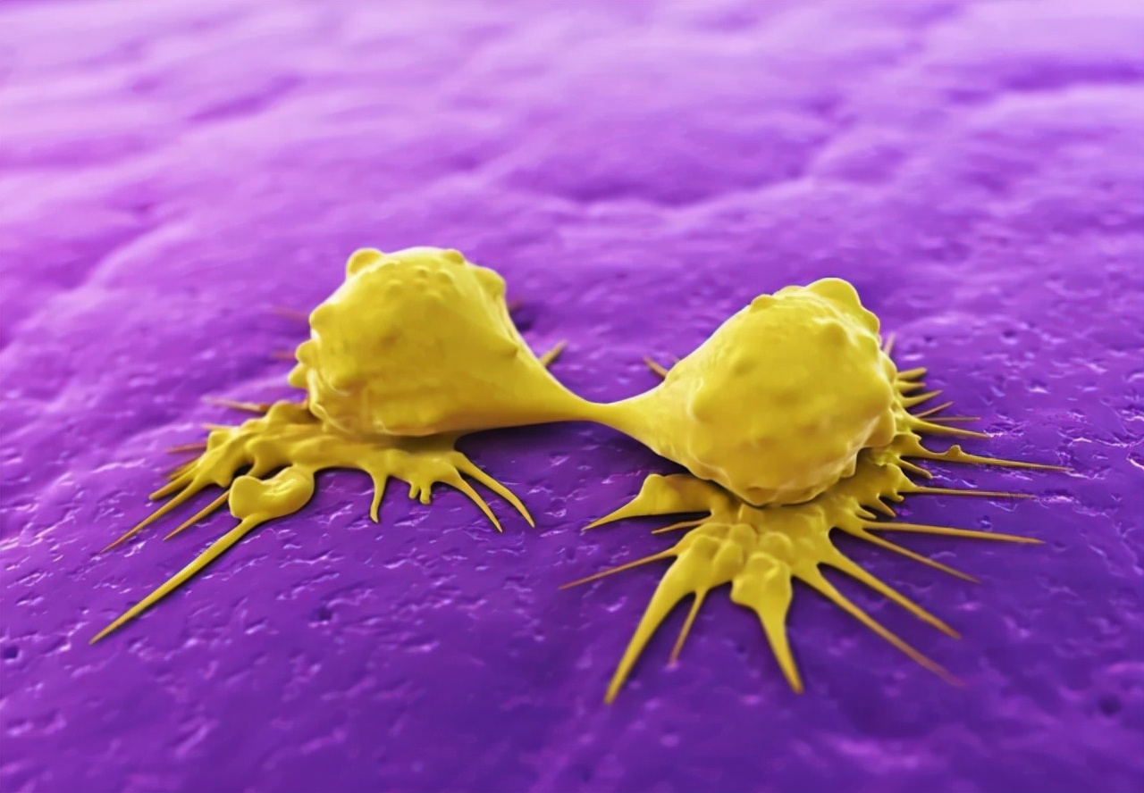 肿瘤病人补什么硒好(肿瘤病人补硒品牌有哪些)-硒宝网