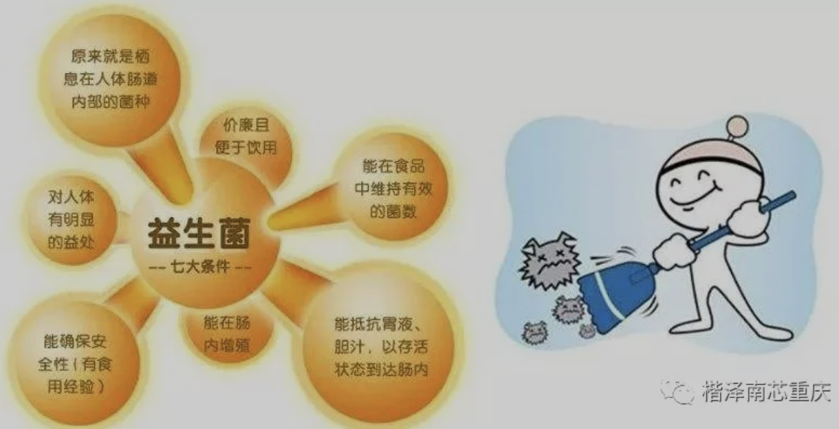 肿瘤病人补什么硒好(肿瘤病人补硒品牌有哪些)-硒宝网