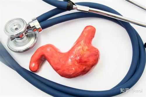 肠胃不好补硒管用吗(硒与肠胃)-硒宝网