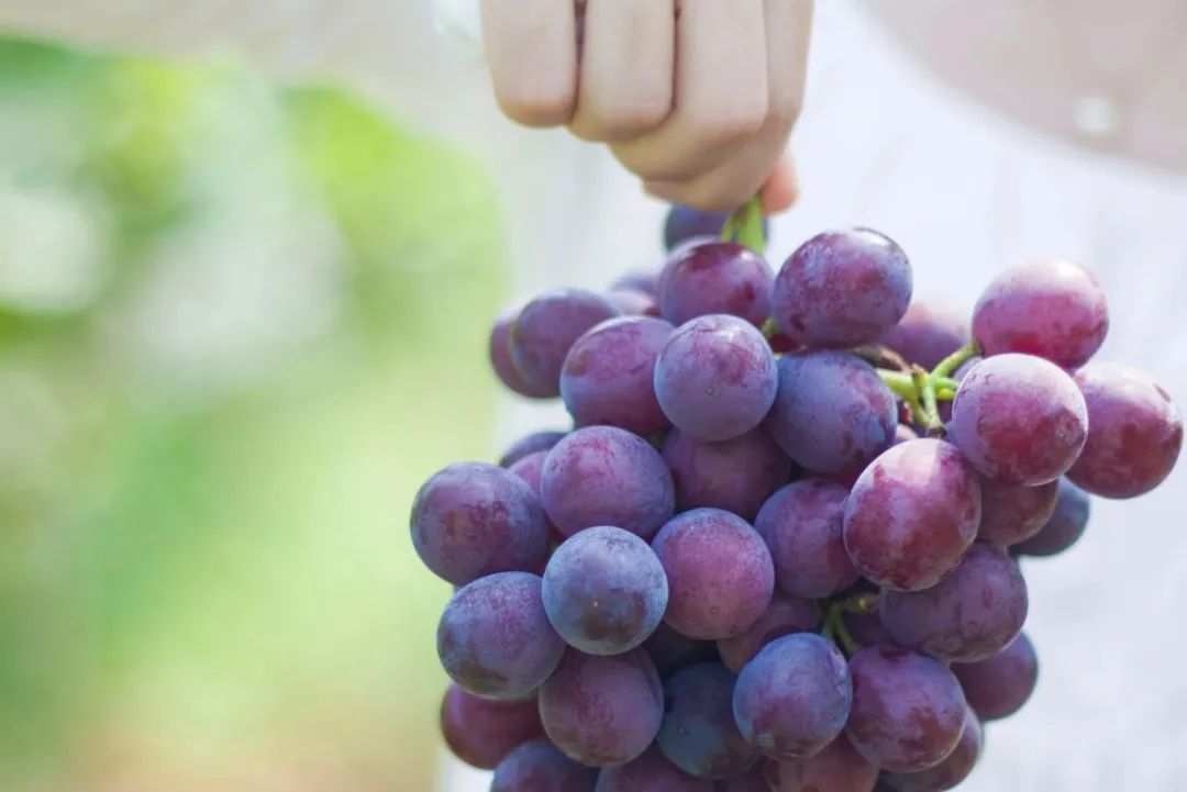 秋天钙铁锌硒补什么（钙锌秋天补铁硒可以吗）-硒宝网