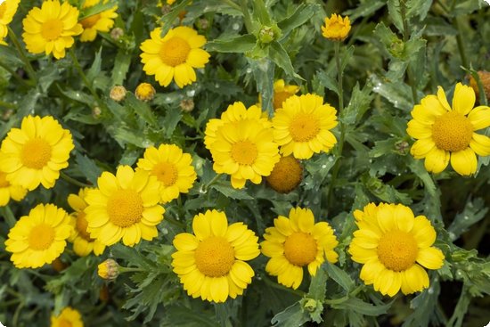 老年人补钙吃什么(老人补钙吃hmb)-硒宝网