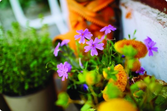 老年人补钙吃什么(老人补钙吃hmb)-硒宝网