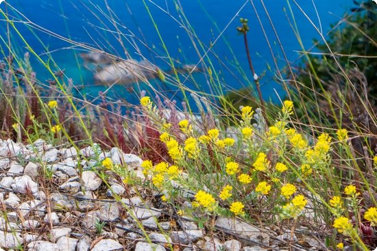 老年人补钙吃什么(老人补钙吃hmb)-硒宝网