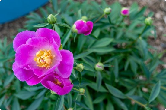 老年人补钙吃什么(老人补钙吃hmb)-硒宝网