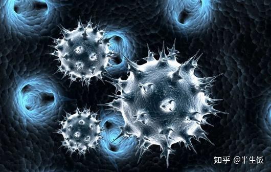 补硒时有什么副作用（补硒的负作用）-硒宝网