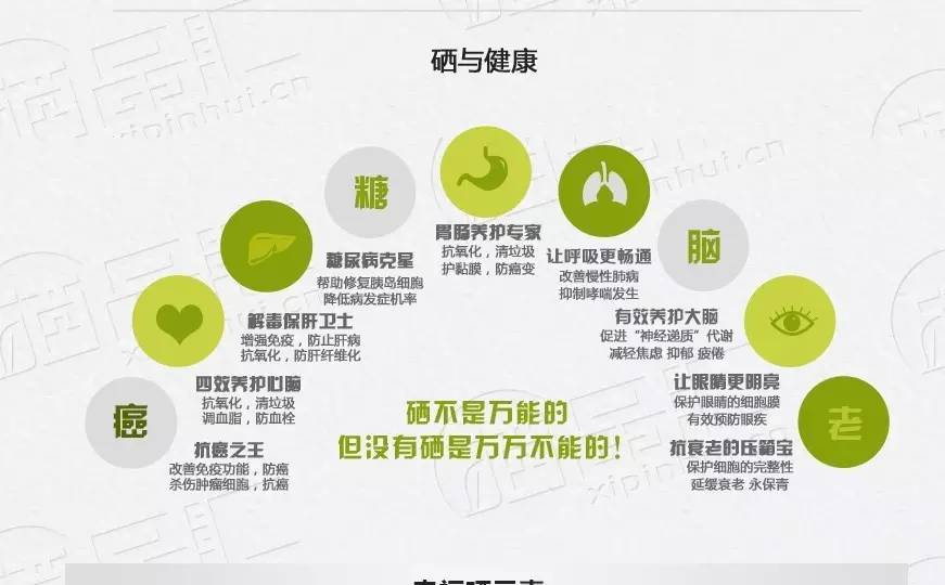 国家认可的补硒产品（国家补硒文件）-硒宝网