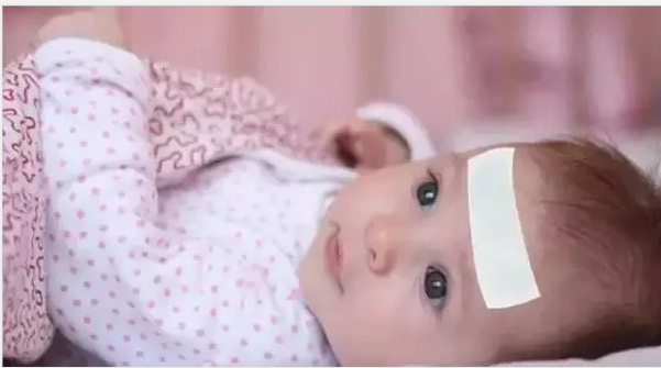 秋天钙铁锌硒补什么（补充钙铁锌硒的好处）-硒宝网