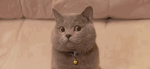 孕期为什么要补钙（孕期补钙要吃到生吗）-硒宝网