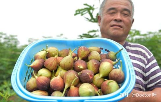 甲状腺结节3类补硒(甲状腺结节补硒有什好处)-硒宝网