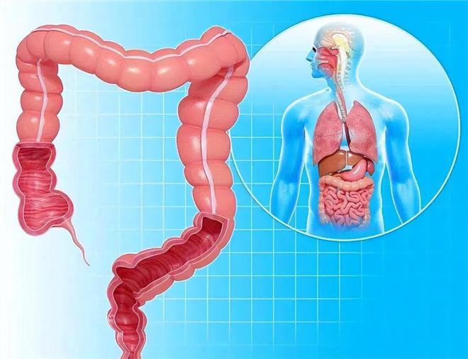 人体如何科学的补硒（科学人体补硒方法）-硒宝网