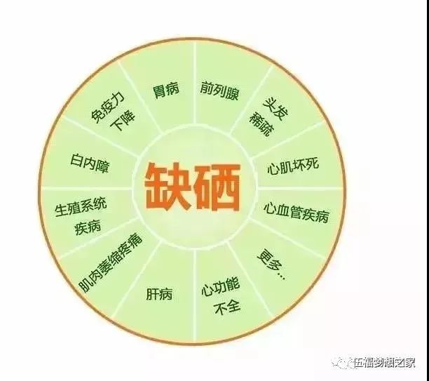 成人补硒有什么好处(成人硒的推荐摄入量)-硒宝网