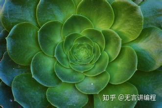 抗辐射每天补硒多少(每天补充硒有什么副作用吗)-硒宝网