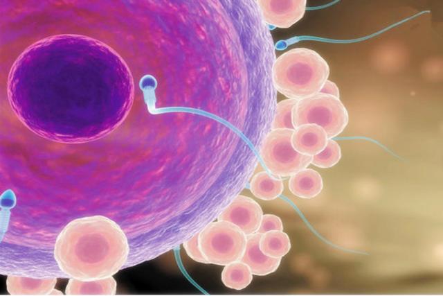 孕妇补锌(孕妇补锌的最佳时间)-硒宝网