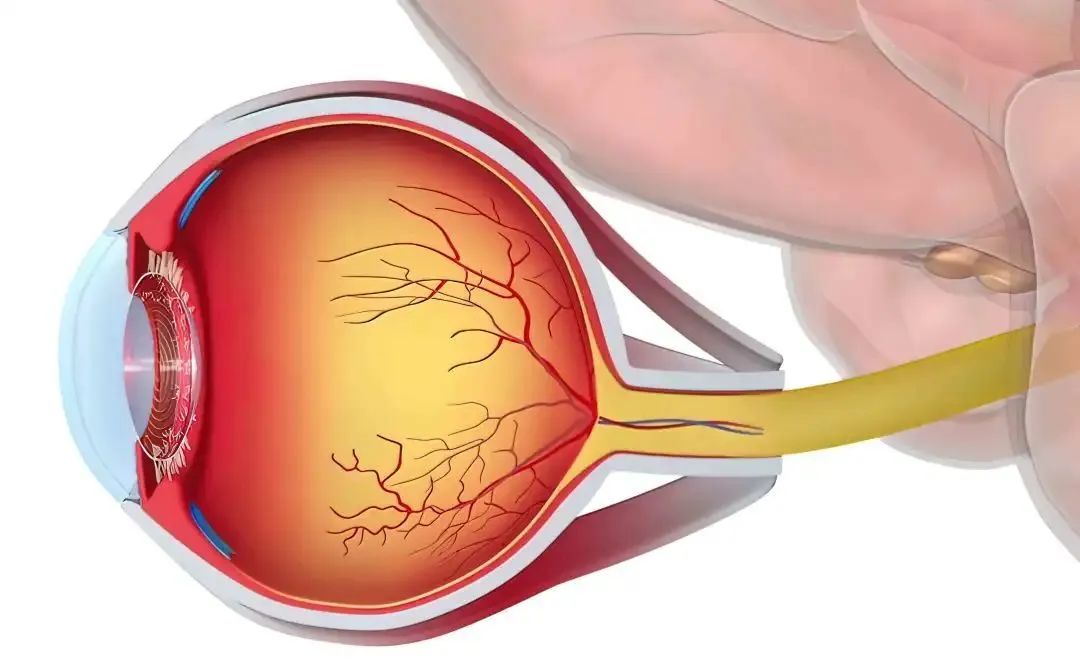 成人补硒有什么好处（成人硒缺乏会有哪些症状）-硒宝网