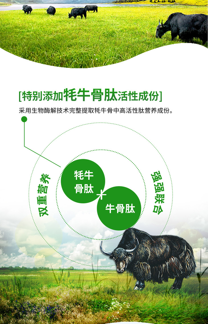 骨质增生能补钙吗（仅靠补钙就能治愈骨质增生吗）-硒宝网