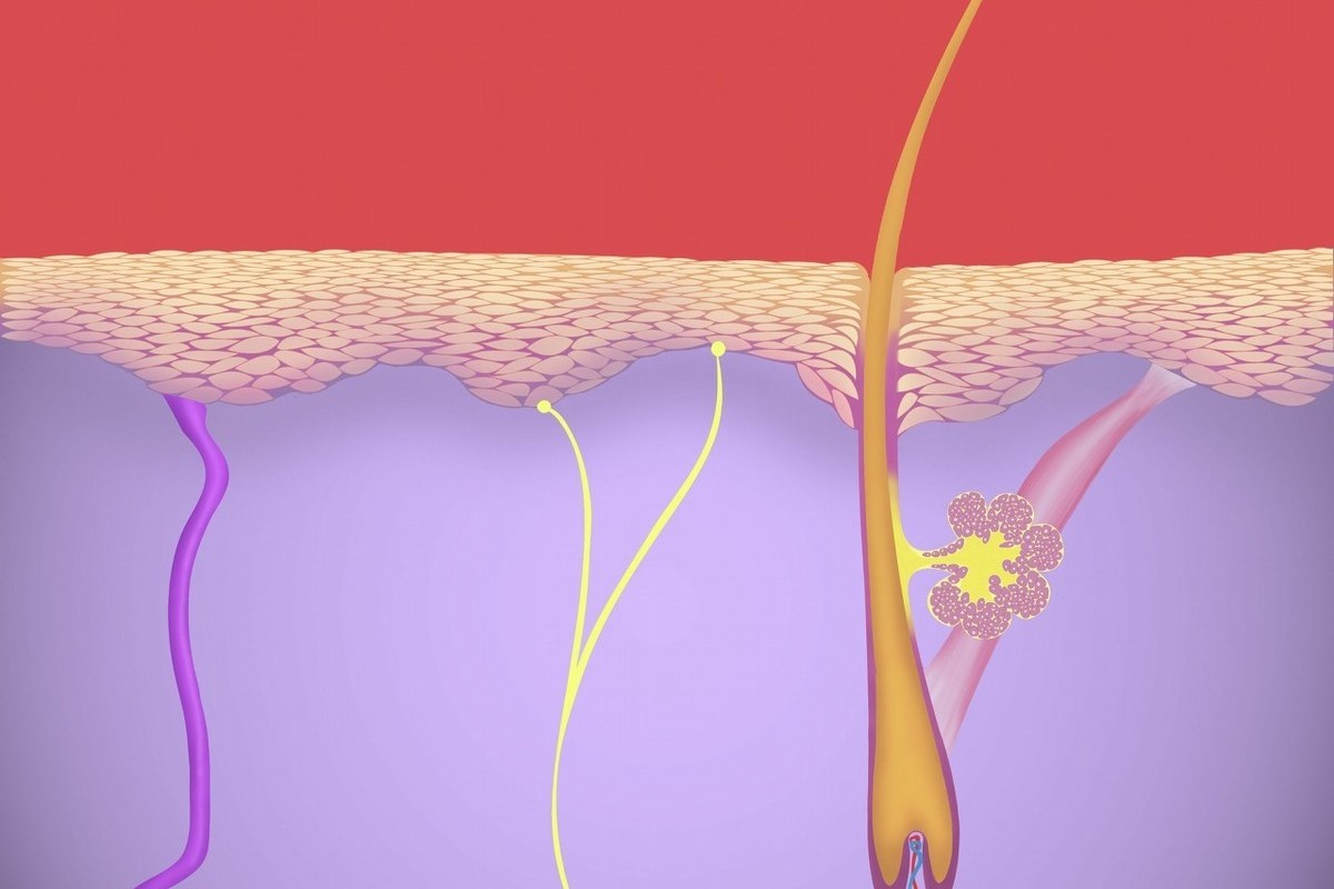 补硒会使头发发黄吗（发黄补头发使硒会变黑吗）-硒宝网