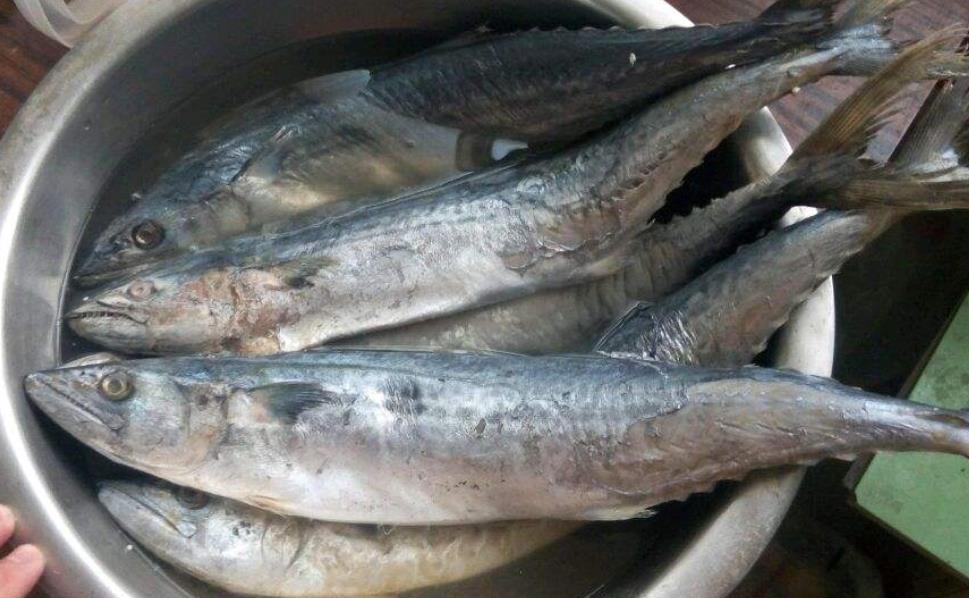 吃哪些肉类可以补硒(硒可以随便补充吗)-硒宝网