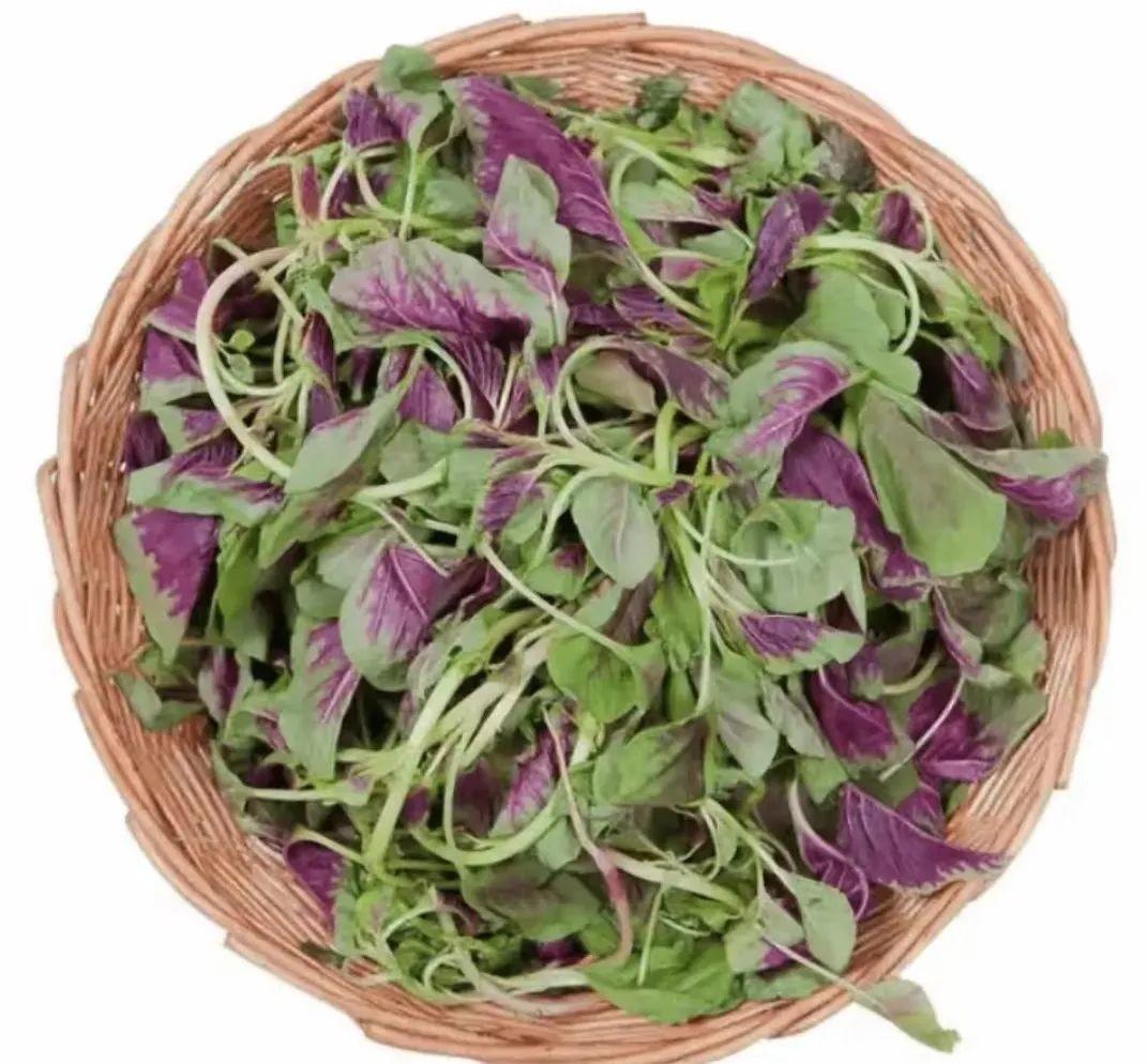 补钙饮食（饮食补钙吃什么）-硒宝网