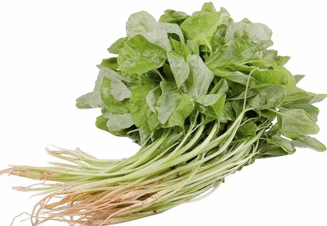 补钙饮食（饮食补钙吃什么）-硒宝网