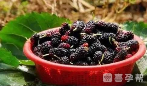 最强补硒食物有哪些(补补硒的食物)-硒宝网