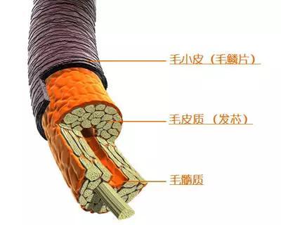 补硒会使头发发黄吗(补硒头发变黑)-硒宝网