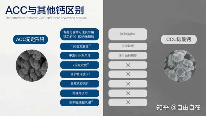 补铁有什么好处(补铁有什么好)-硒宝网