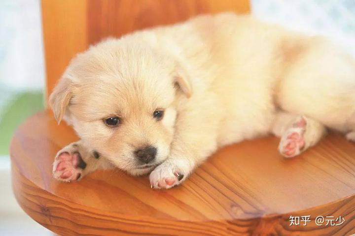 手术后贫血的人补硒（术后可以补硒吗）-硒宝网