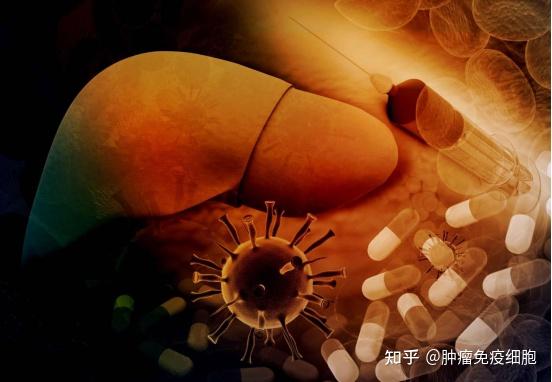 肝癌晚期补硒酵母片(肝癌患者可以吃硒酵母片吗)-硒宝网