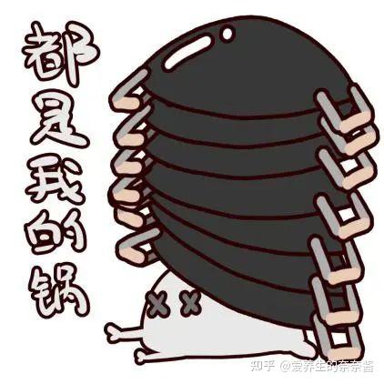 香蕉补铁吗（香蕉补铁补血吗）-硒宝网