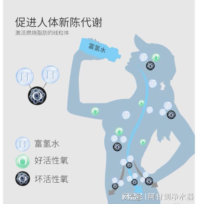 可以长期适量补硒吗（适量补长期硒可以长期吃吗）-硒宝网