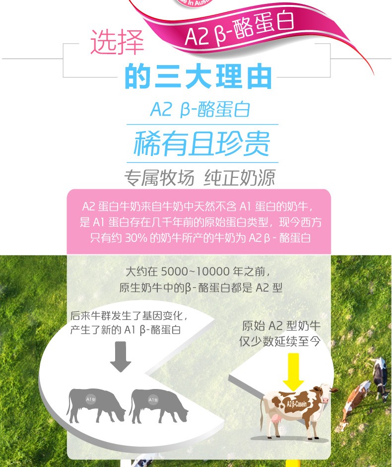 食疗补钙(食疗补钙食谱大全)-硒宝网