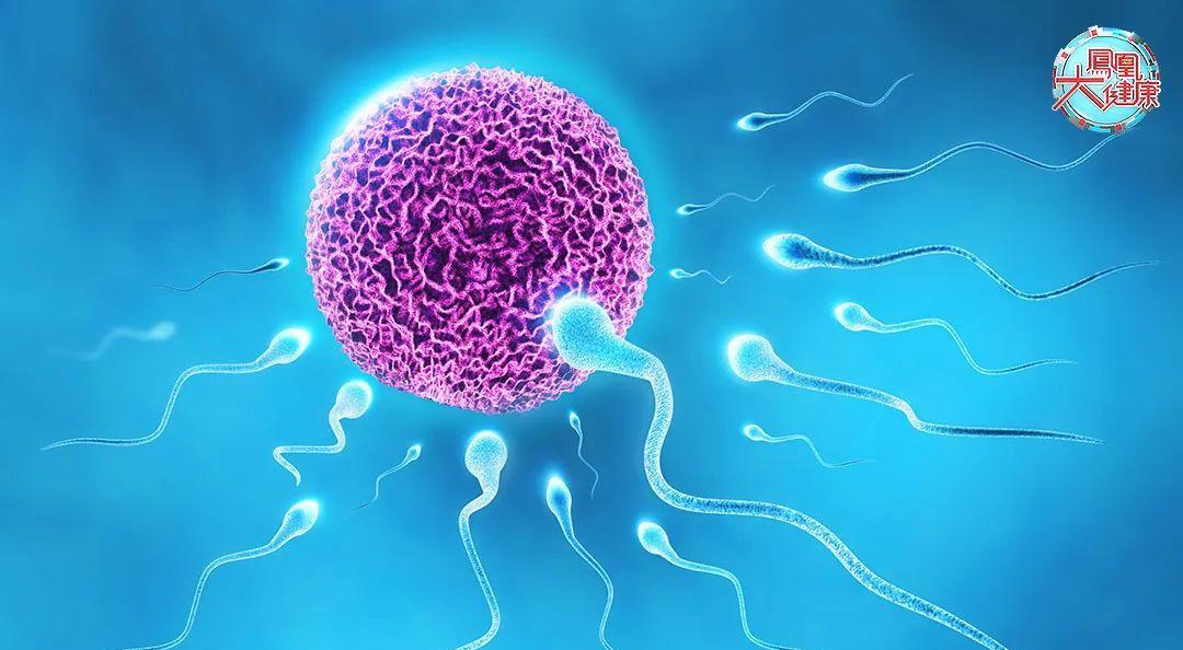 补精子锌硒宝贵不贵（锌硒宝生精吗）-硒宝网