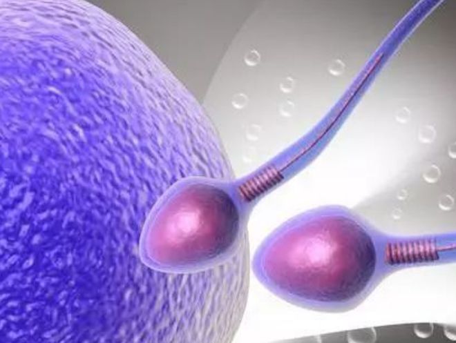 补精子锌硒宝贵不贵（锌硒宝生精吗）-硒宝网