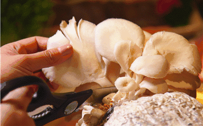 火锅什么蔬菜补硒油(火锅蔬菜补油硒含量高吗)-硒宝网