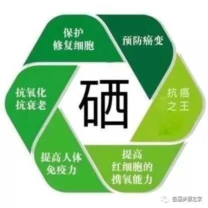 怎样补硒才是合理的（硒片补硒）-硒宝网