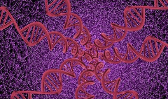 近视缺乏什么微量元素（近视微量元素缺乏）-硒宝网