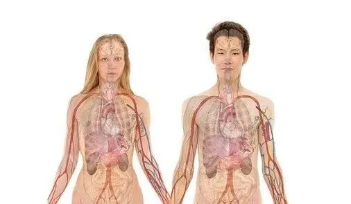 乙肝补硒过量会怎样(乙肝病人补硒后有什么反应)-硒宝网