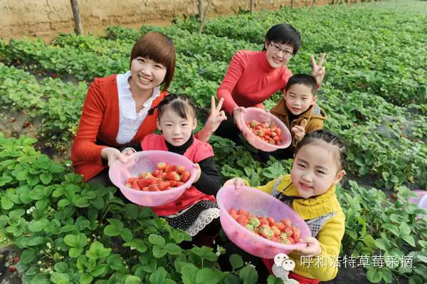 日本补硒酵母片推荐(酵母硒片多少钱一盒)-硒宝网