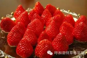 日本补硒酵母片推荐(酵母硒片多少钱一盒)-硒宝网