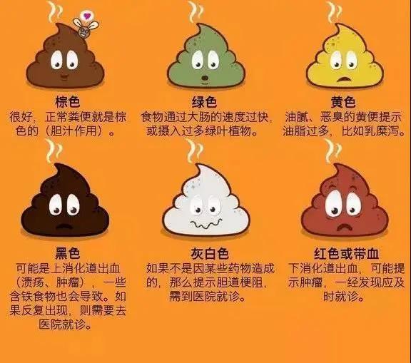 补铁刺激胃多久才消失(补铁胃)-硒宝网