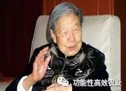 什么食物补硒最高效（补硒食物）-硒宝网