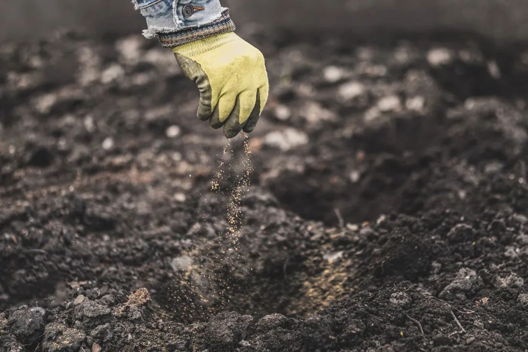 怎样补硒才是合理的(硒的补充)-硒宝网