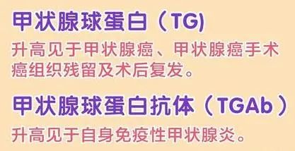 甲状腺的人能补硒吗(甲状腺疾病可以补硒吗)-硒宝网