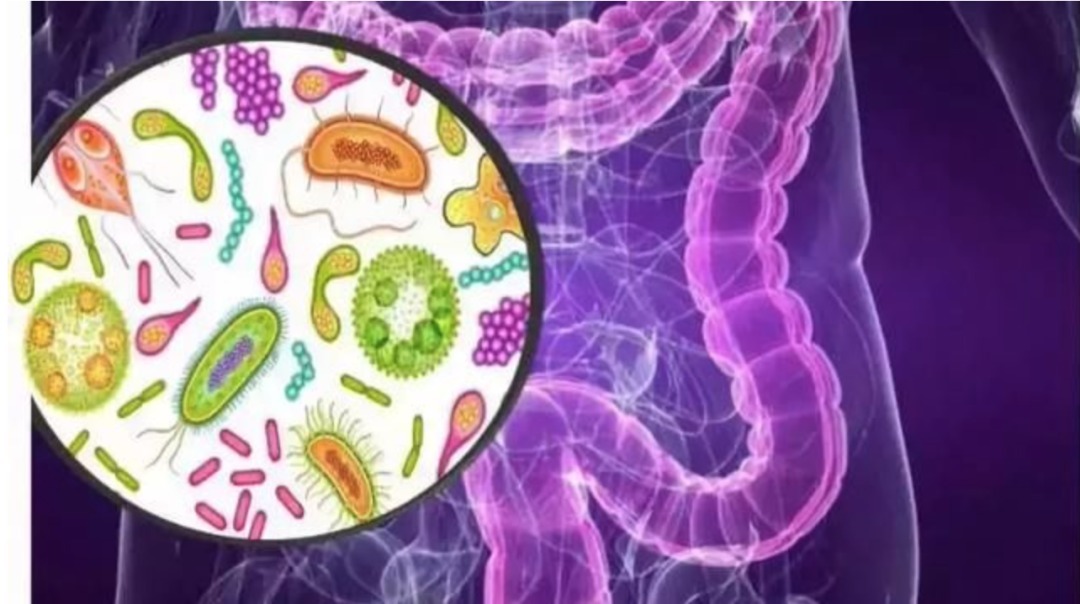 科学补硒有什么好处（科学好处补硒有哪些方法）-硒宝网