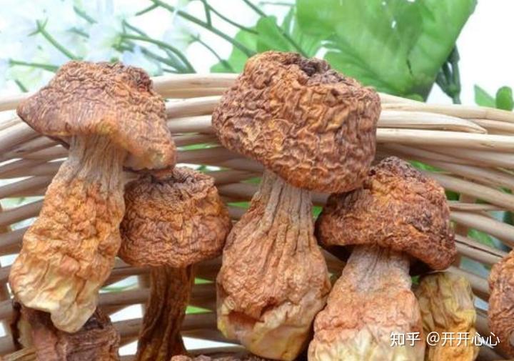 宫颈病变可以补硒吗(补硒对宫颈癌前病变有好处吗)-硒宝网