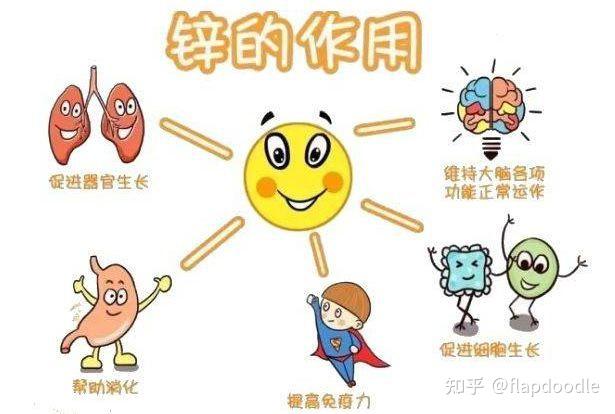 婴儿 补锌（婴儿补锌什么时间段最好）-硒宝网